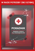 Poradnik p... - Marcin Nowak, Tomasz Szwarc -  books from Poland