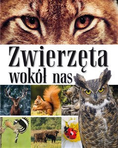 Picture of Zwierzęta wokół nas Encyklopedia dla dzieci