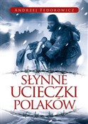 Polska książka : Słynne uci... - Andrzej Fedorowicz
