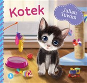 polish book : Kotek - Julian Tuwim, Kazimierz Wasilewski