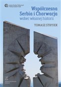 Współczesn... - Tomasz Stryjek -  Polish Bookstore 