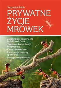 Picture of Prywatne życie mrówek
