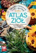 polish book : Atlas ziół... - Opracowanie Zbiorowe