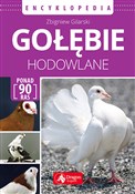 Gołębie ho... - Zbigniew Gilarski -  books from Poland