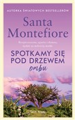 Książka : Spotkamy s... - Santa Montefiore
