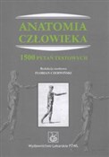 Anatomia c... -  foreign books in polish 
