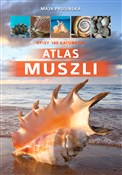 Atlas musz... - Maja Prusińska -  books from Poland