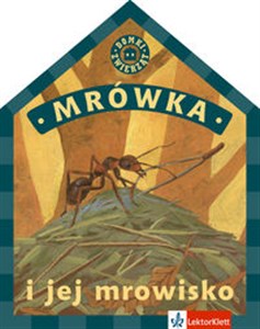 Picture of Domki zwierząt Mrówka i jej mrowisko