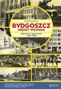 polish book : Bydgoszcz ... - Michał Pszczółkowski