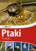 Polska książka : Piękna Pol... - Anna Przybyłowicz, Łukasz Przybyłowicz