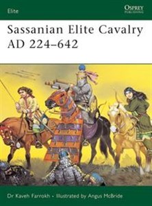 Picture of Sassanian Elite Cavalry AD 224-642