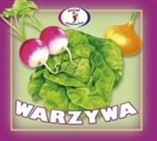 Warzywa - Andrzej Kłapyta -  Polish Bookstore 
