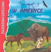 Książka : W Ameryce - Ewa Stadtmuller