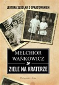 Książka : Ziele na k... - Melchior Wańkowicz