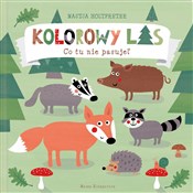 Kolorowy l... - Nastja Holtfreter -  books in polish 