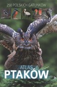 Książka : Atlas ptak... - Dominik Marchowski