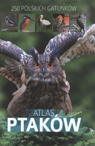 Obrazek Atlas ptaków