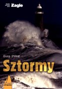 Sztormy - Dag Pike -  Polish Bookstore 