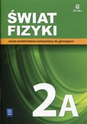 Polska książka : Świat fizy... - Maria Rozenbajgier, Ryszard Rozenbajgier, Małgorzata Godlewska, Danuta Szot-Gawlik