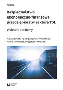 Picture of Bezpieczeństwo ekonomiczno-finansowe przedsiębiorstw sektora TSL Wybrane problemy