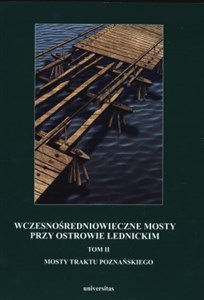 Picture of Wczesnośredniowieczne mosty przy Ostrowie Lednickim Tom II: Mosty traktu poznańskiego