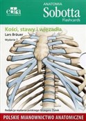 Anatomia S... - Lars Brauer - Ksiegarnia w UK