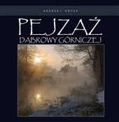 Książka : Pejzaż Dąb... - Andrzej Kryza