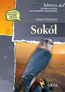 Picture of Sokół wydanie z opracowaniem i streszczeniem