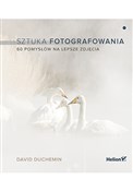 Polska książka : Sztuka fot... - David DuChemin