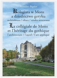 Picture of Kolegiata w Mons a dziedzictwo gotyku architektura/ołtarz/sztuka stosowana