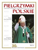 Pielgrzymk... - Jan Paweł II, Adam Bujak -  foreign books in polish 