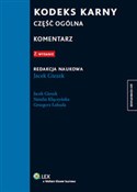 polish book : Kodeks kar... - Jacek Giezek, Natalia Kłączyńska, Grzegorz Łabuda