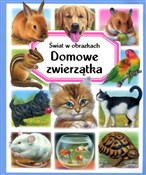 polish book : Domowe zwi... - Patricia Reinig