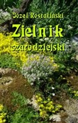 Polska książka : Zielnik cz... - Józef Rostafiński