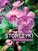 Storczyki ... - Lutz Rollke -  foreign books in polish 