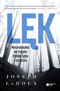 Picture of Lęk Neuronauka na tropie źródeł lęku i strachu
