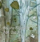 Historia K... - Krzysztof Baliński -  books from Poland