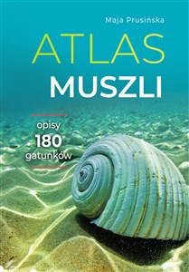 Picture of Atlas muszli Opisy 180 gatunków