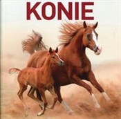 Konie - Jon Stroud -  books from Poland