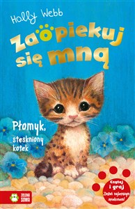 Picture of Zaopiekuj się mną Płomyk stęskniony kotek