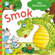 polish book : Smok - Jan Brzechwa, Agata Nowak