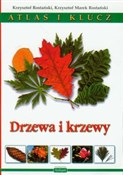 Drzewa i k... - Krzysztof Rostański, Krzysztof Marek Rostański -  Książka z wysyłką do UK