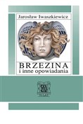 polish book : Brzezina i... - Jarosław Iwaszkiewicz