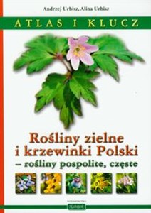 Obrazek Rośliny zielne i krzewinki Polski rośliny pospolite, częste Atlas i klucz