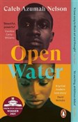 polish book : Open Water... - Caleb Azumah Nelson