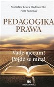 Pedagogika... - Stanisław Leszek Stadniczeńko, Piotr Zamelski -  books from Poland