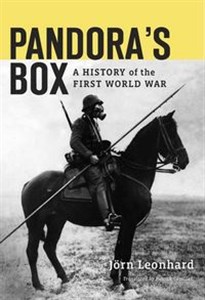 Picture of Pandora's Box A History of the First World War