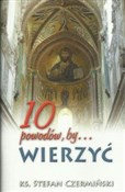 Książka : 10 powodów... - Stefan Czermiński