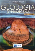 polish book : Geologia d... - Włodzimierz Mizerski