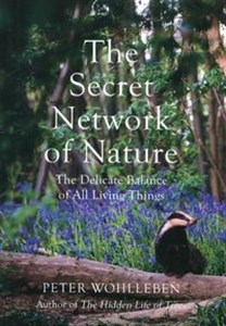 Picture of The Secret Network of Nature
